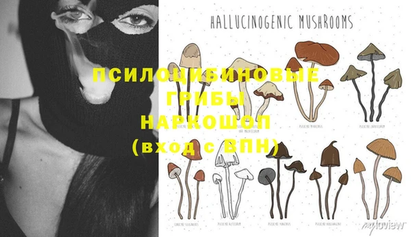 марки nbome Бородино