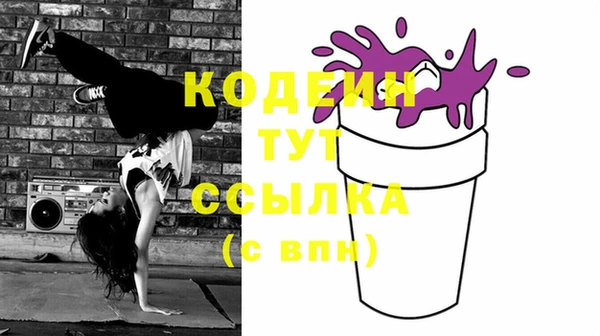 шишки Сосновый Бор